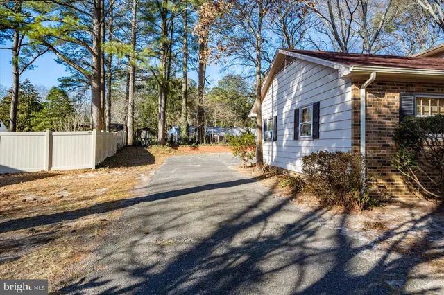 a view of a street with large trees