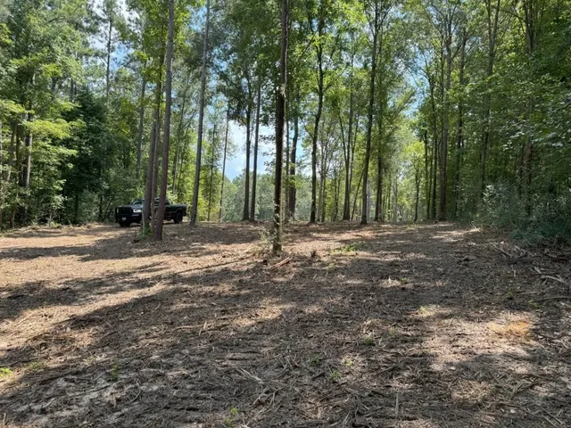 a view of outdoor space with trees