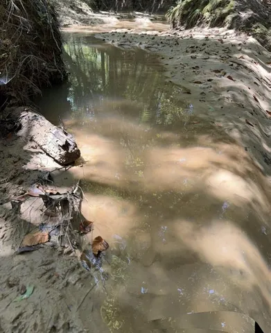 a view of water yard