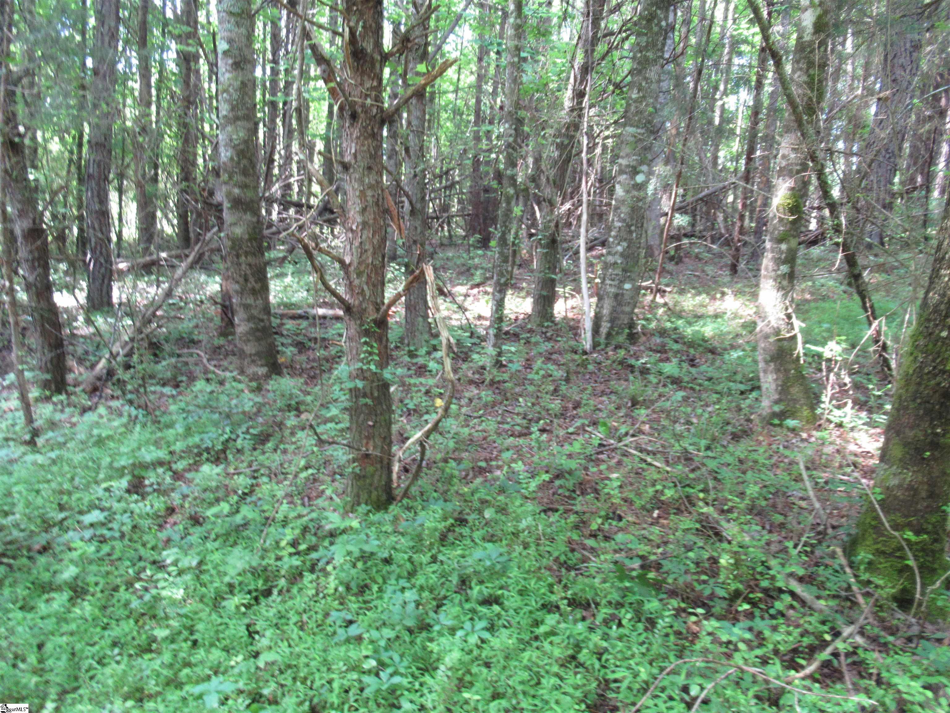 11 A Midway Road Pickens, SC 29671 - Photo 11 of 19