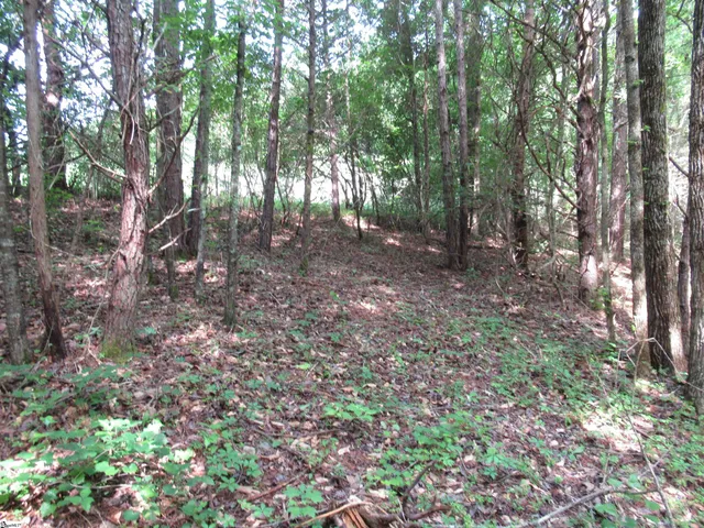 $395,000 | 11 A Midway Road, Pickens, SC 29671