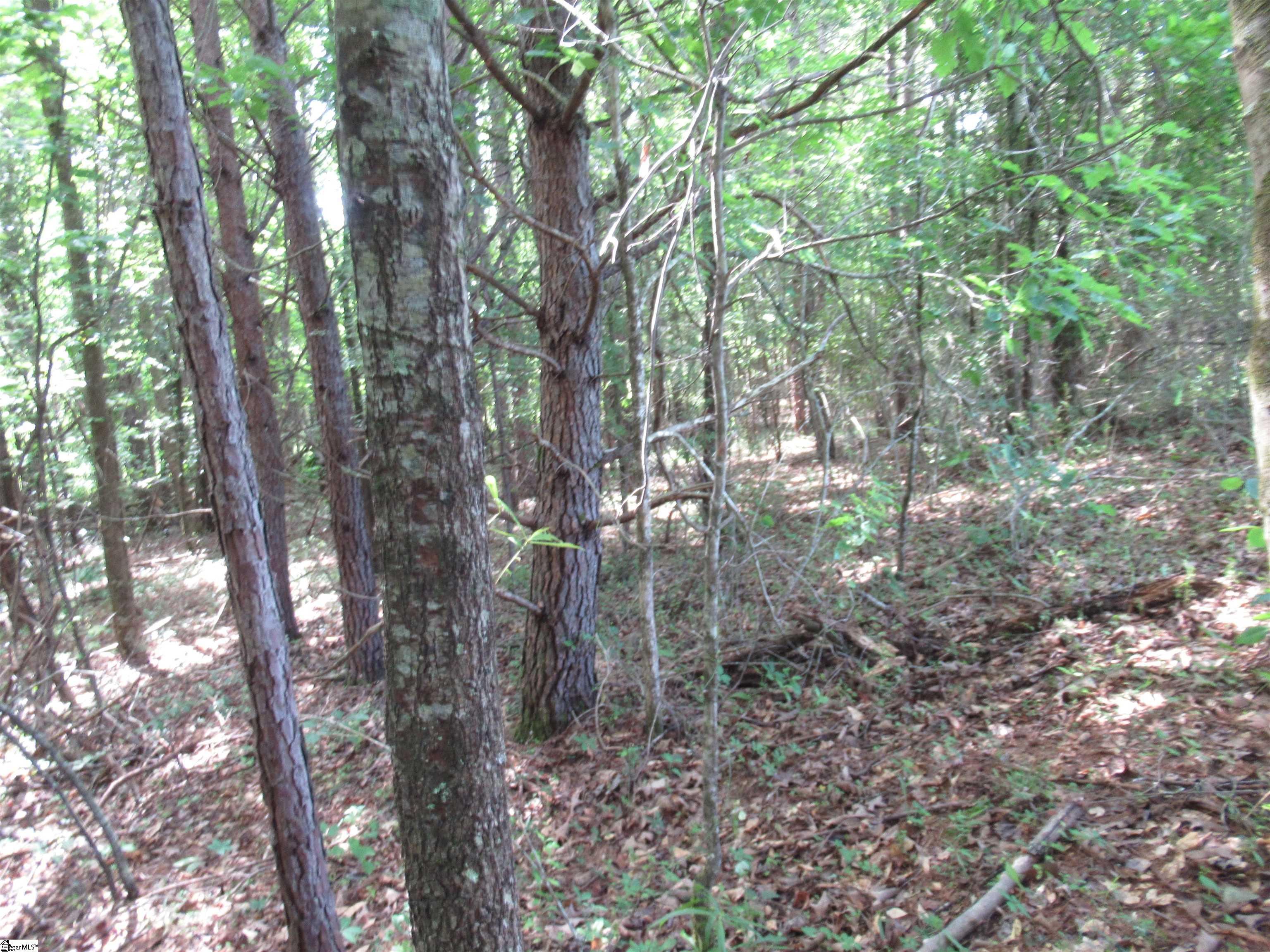 11 A Midway Road Pickens, SC 29671 - Photo 14 of 19