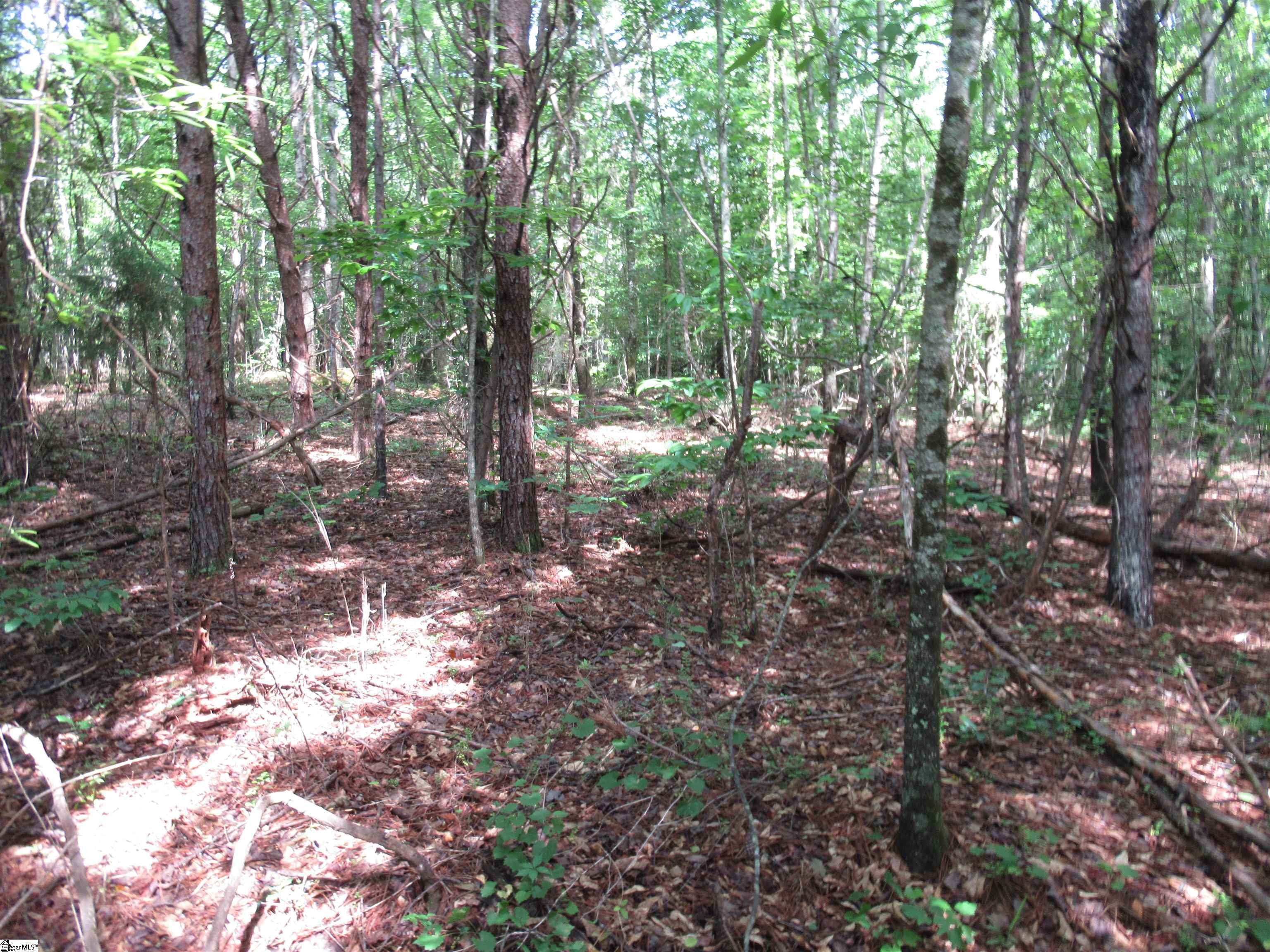 11 A Midway Road Pickens, SC 29671 - Photo 16 of 19