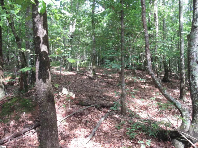 $395,000 | 11 A Midway Road, Pickens, SC 29671