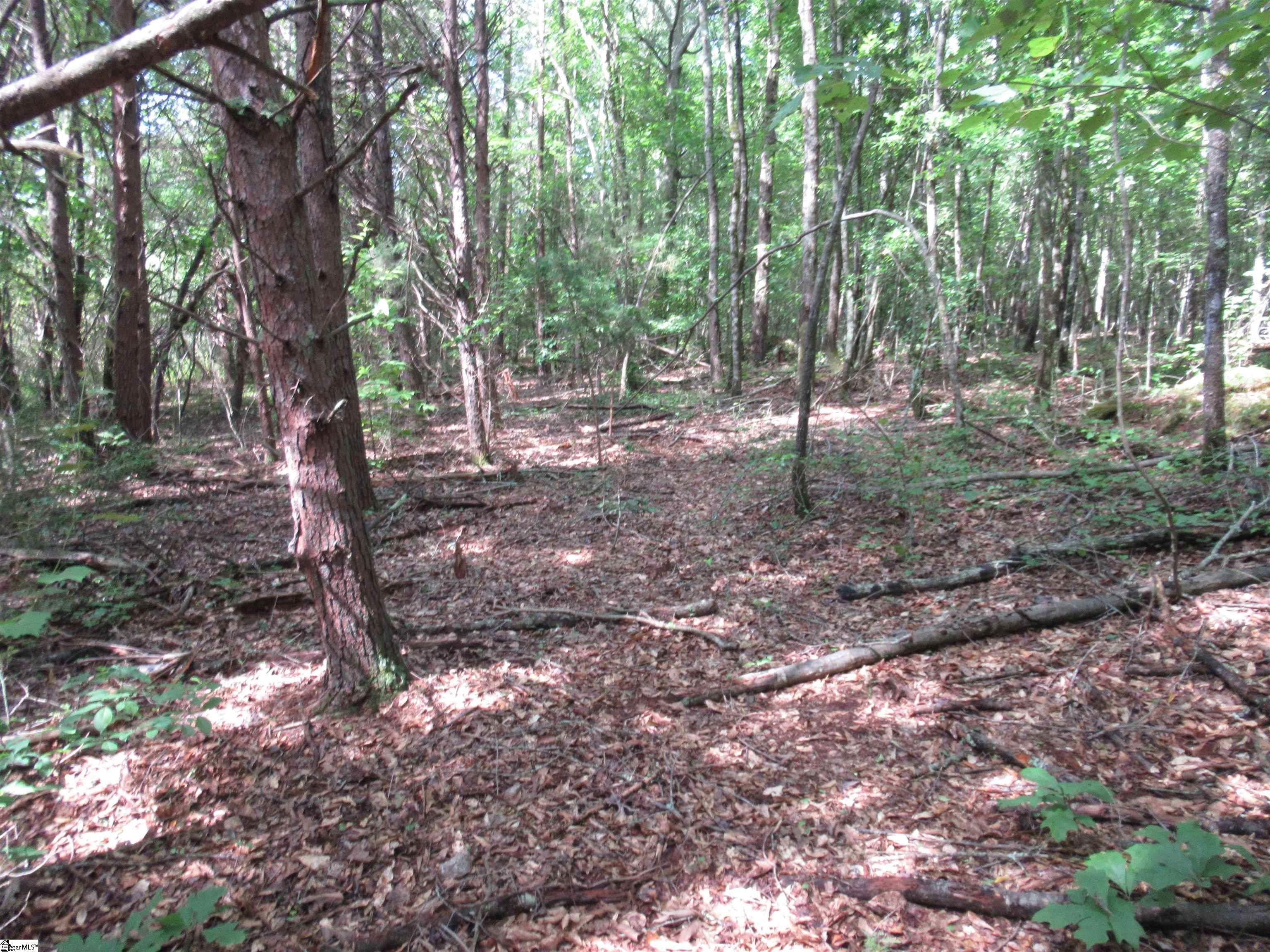 11 A Midway Road Pickens, SC 29671 - Photo 19 of 19