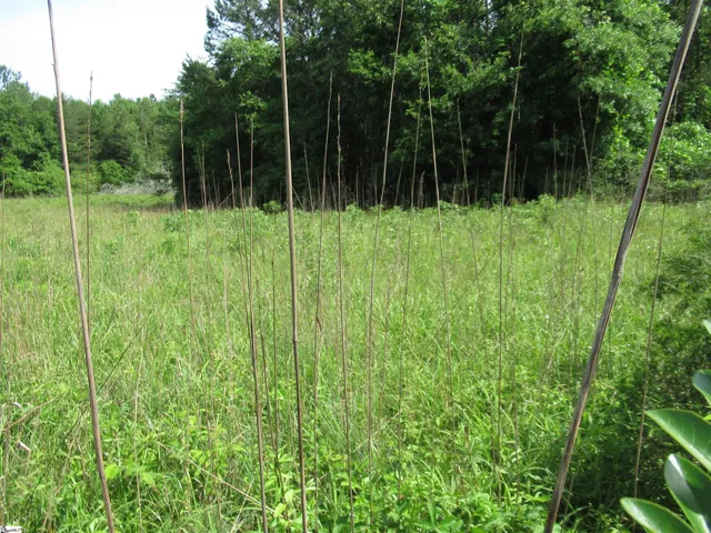 $395,000 | 11 A Midway Road, Pickens, SC 29671