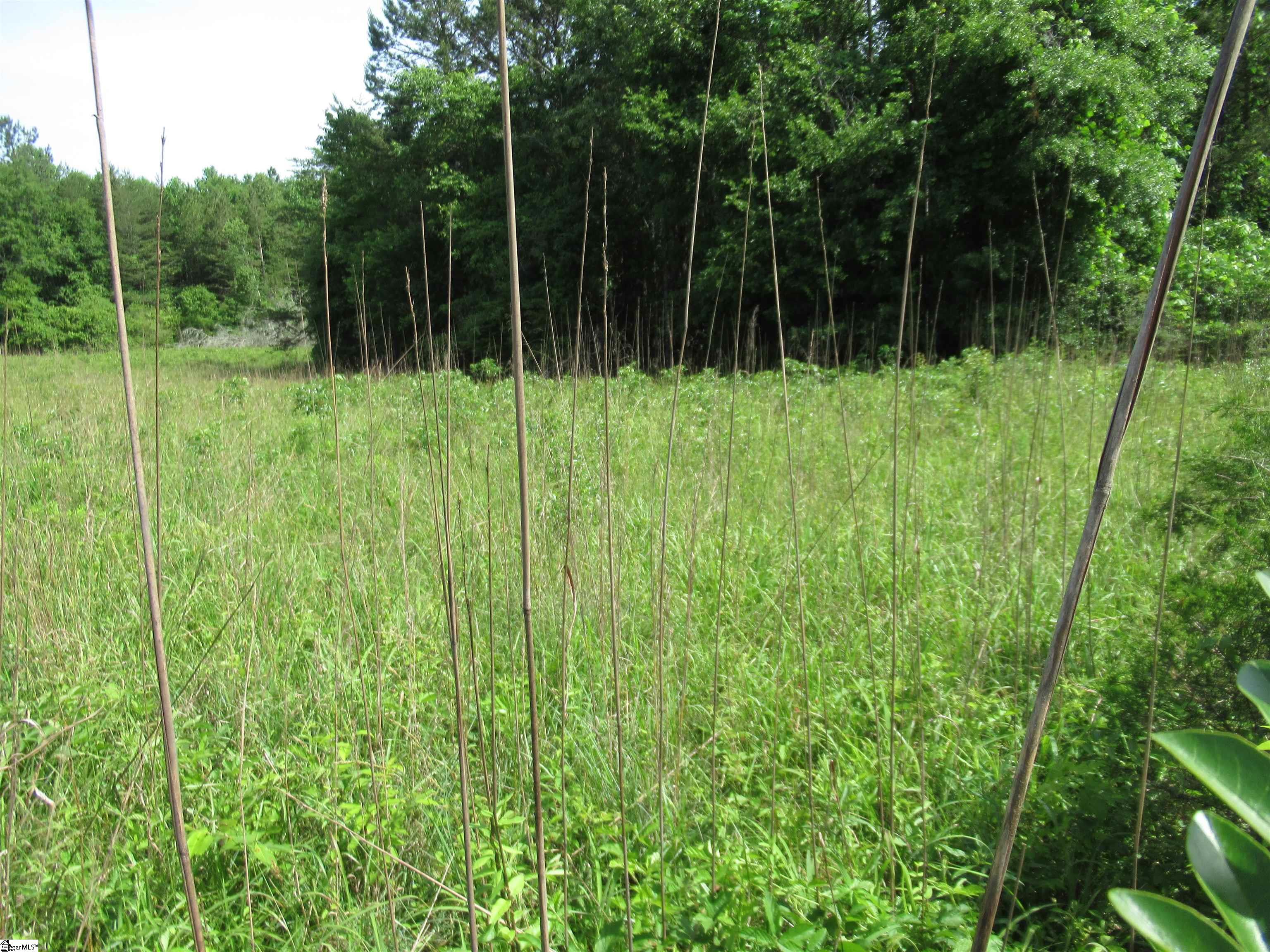 11 A Midway Road Pickens, SC 29671 - Photo 2 of 19