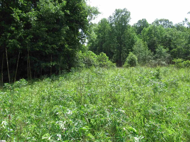 $395,000 | 11 A Midway Road, Pickens, SC 29671