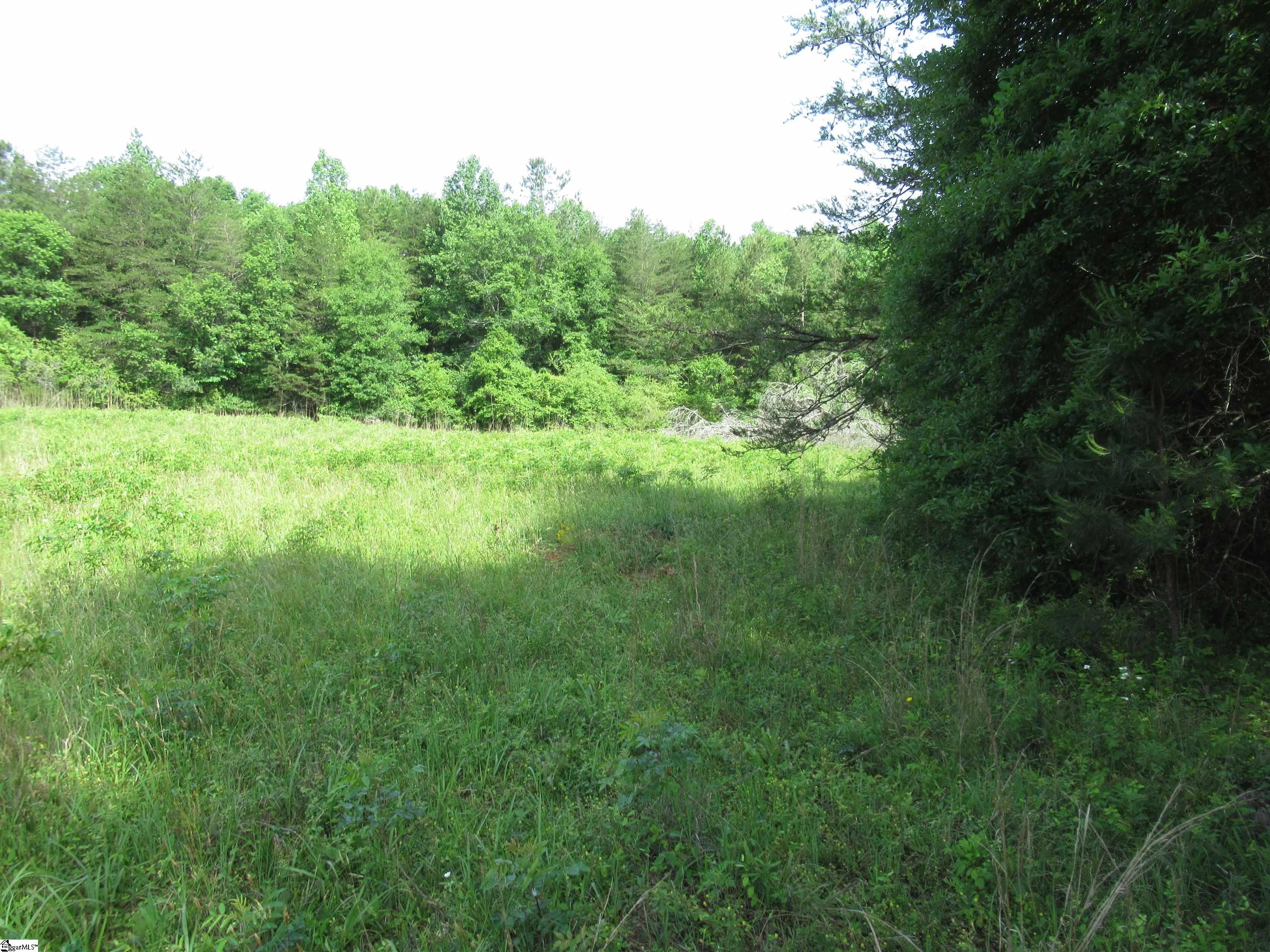 11 A Midway Road Pickens, SC 29671 - Photo 5 of 19