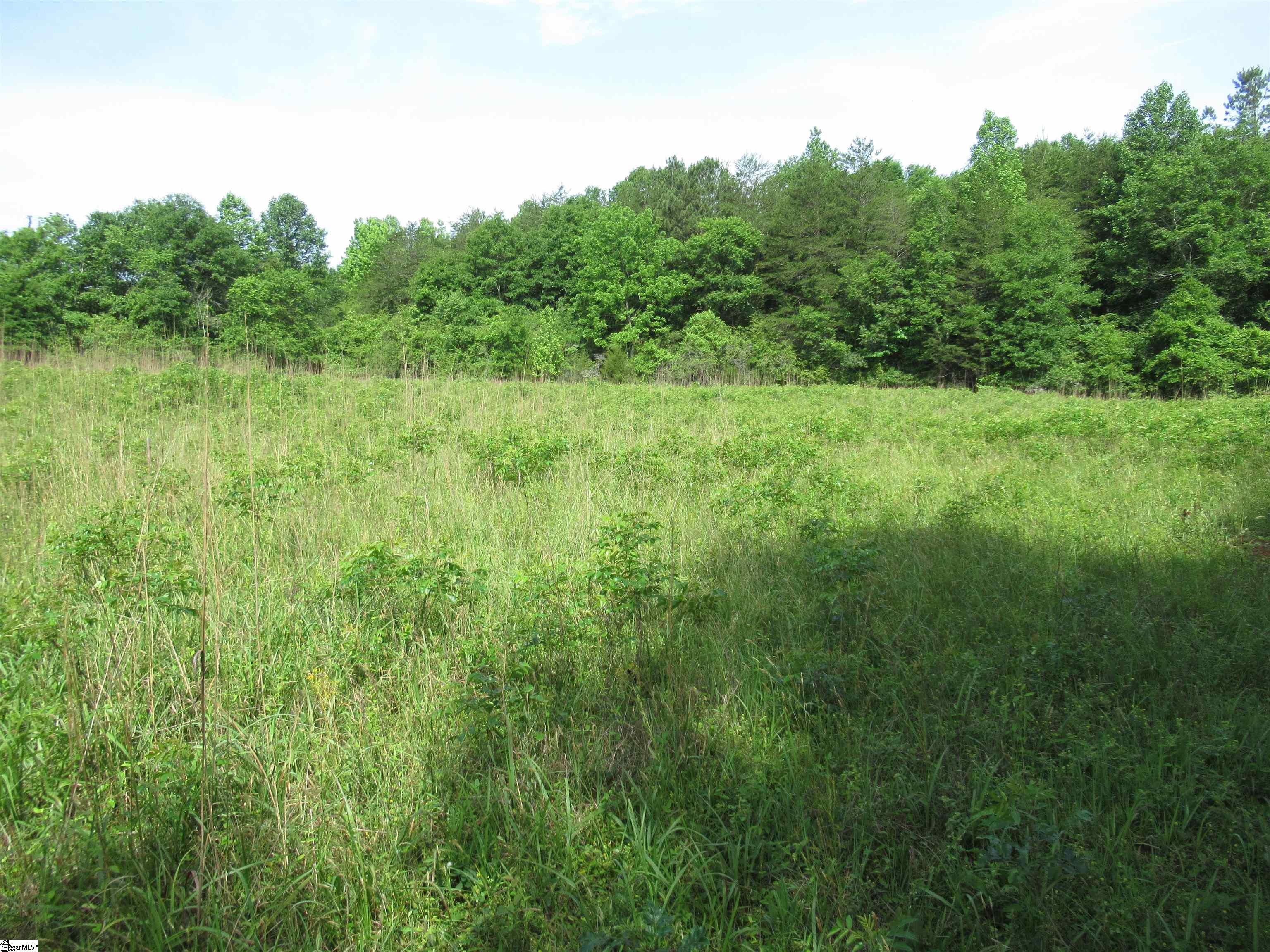 11 A Midway Road Pickens, SC 29671 - Photo 6 of 19