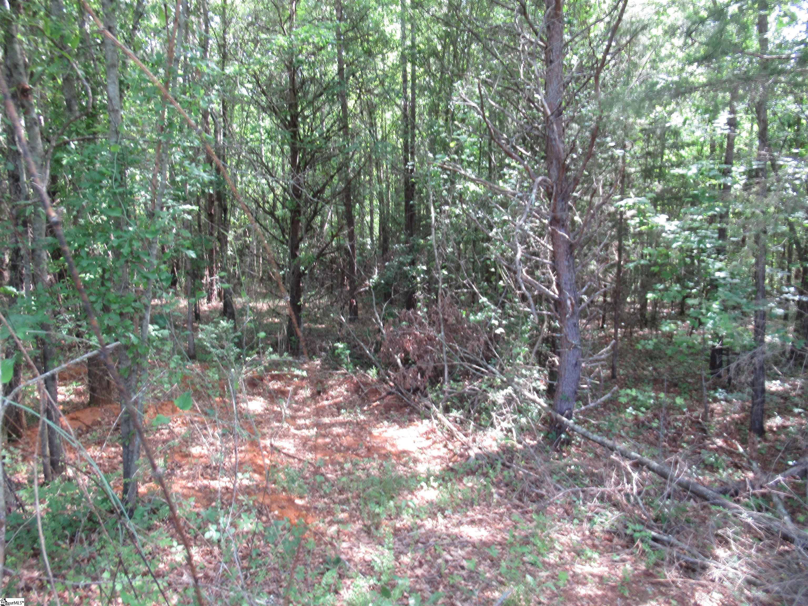 11 A Midway Road Pickens, SC 29671 - Photo 7 of 19