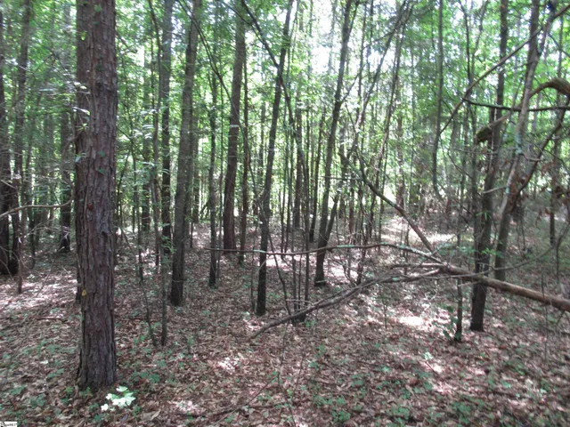 $395,000 | 11 A Midway Road, Pickens, SC 29671