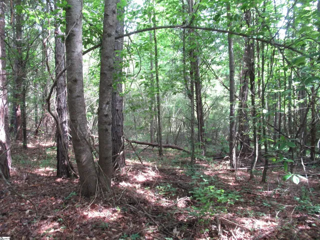 $395,000 | 11 A Midway Road, Pickens, SC 29671