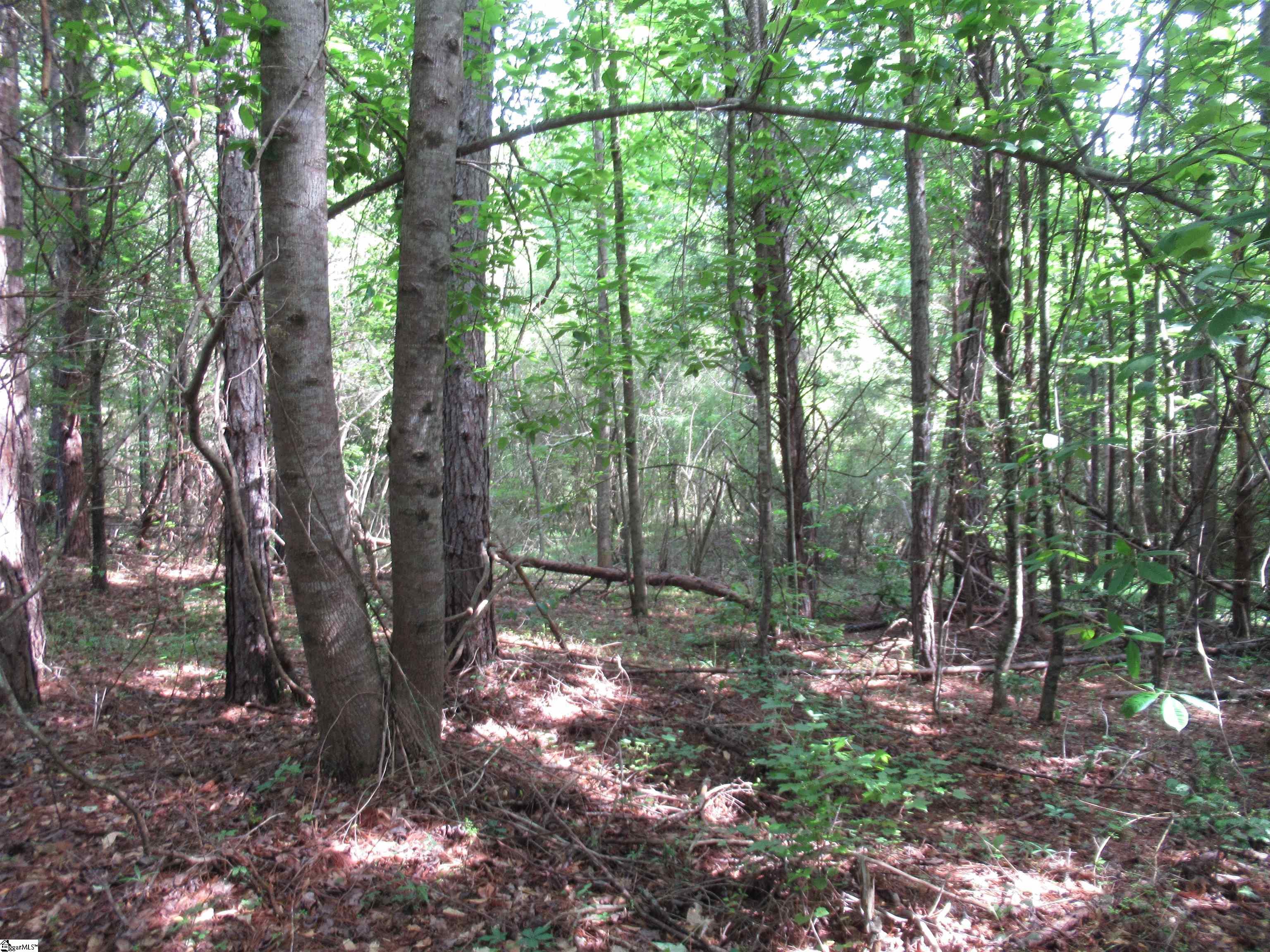 11 A Midway Road Pickens, SC 29671 - Photo 9 of 19