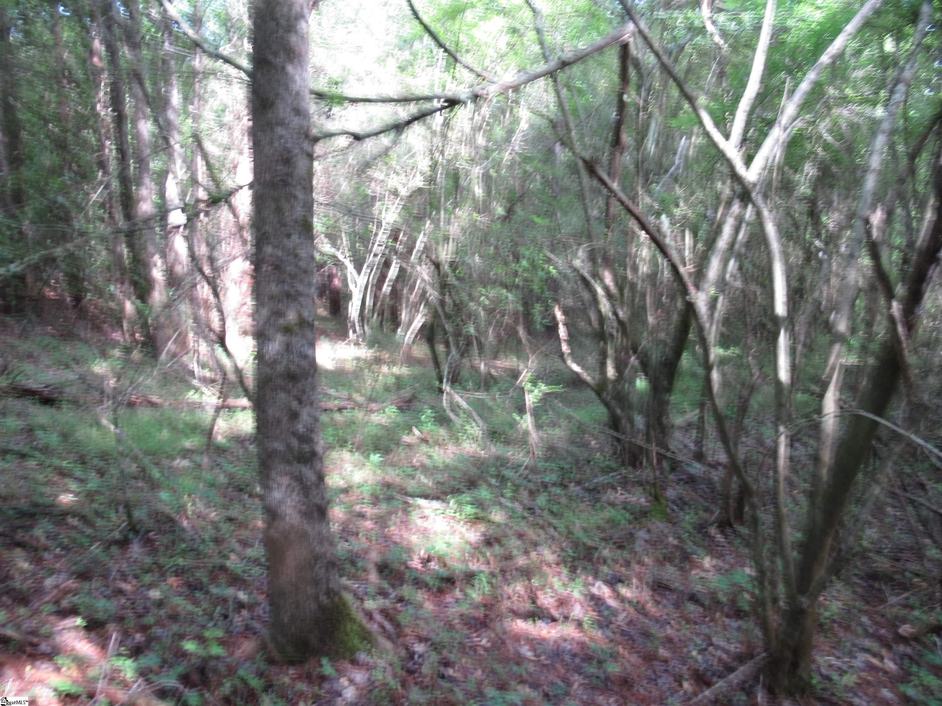 11 A Midway Road Pickens, SC 29671 - Photo 10 of 19