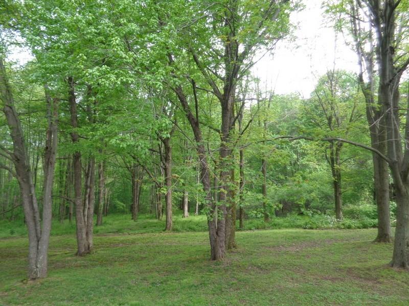 1106 Mercer West Middlesex Road Mercer, PA 16137 - Photo 10 of 19