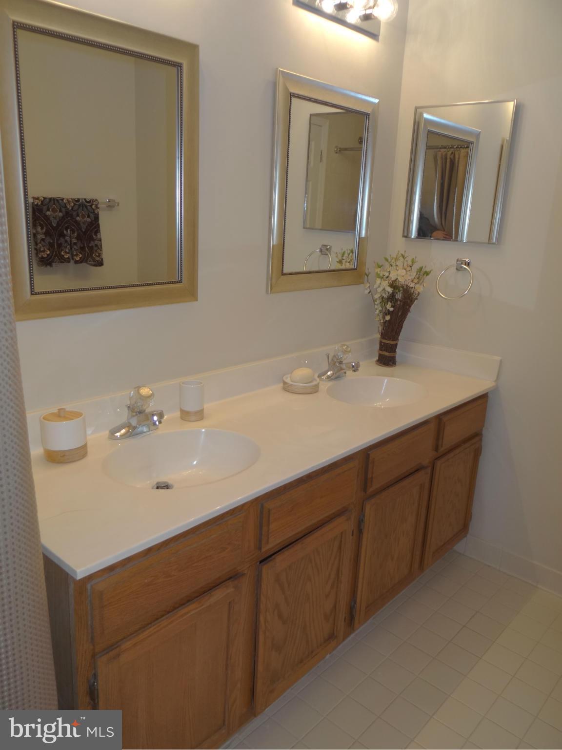 202 Windy Ridge Court Pasadena, MD 21122 - Photo 12 of 28 Bath (Master)