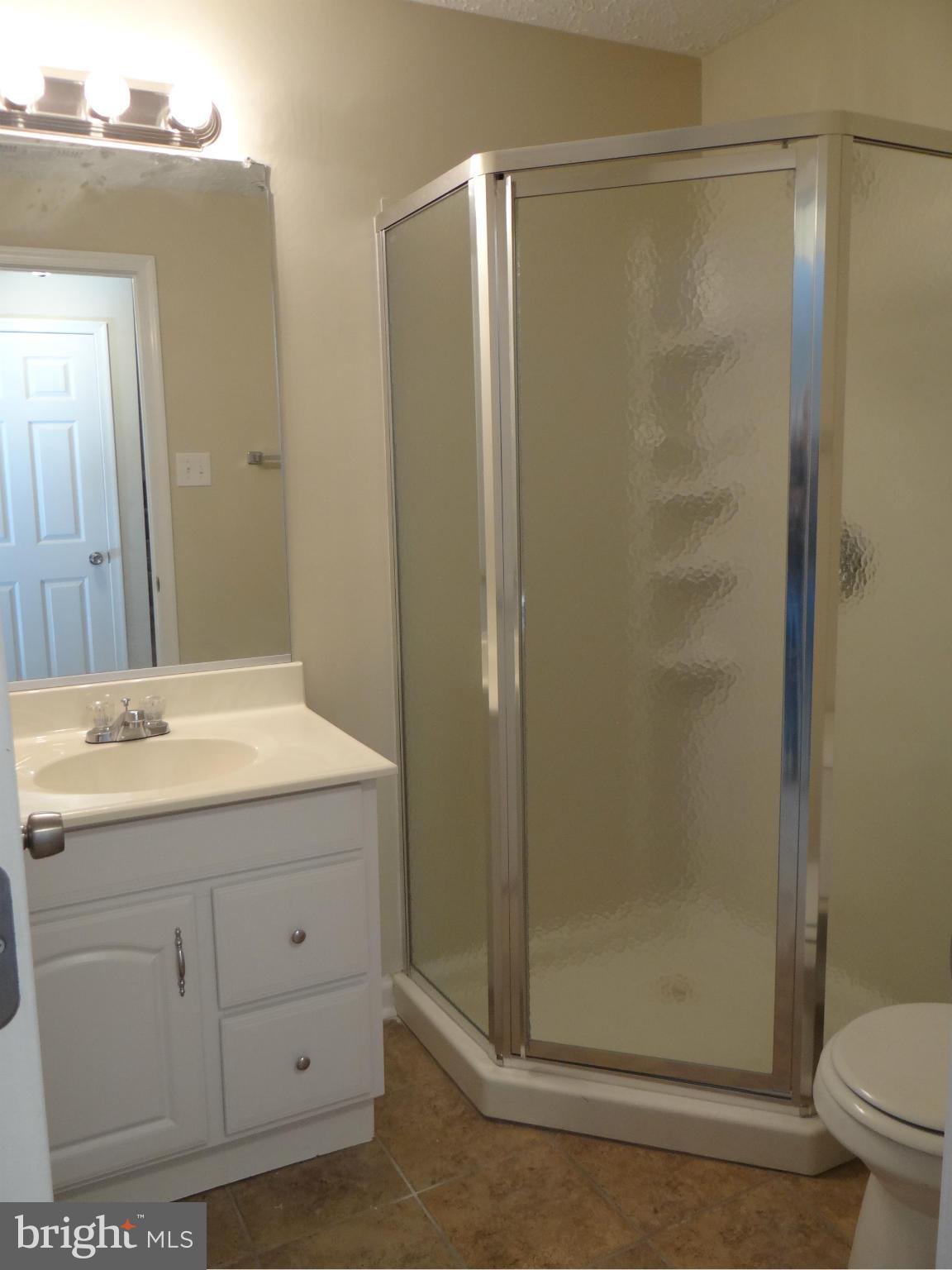 202 Windy Ridge Court Pasadena, MD 21122 - Photo 21 of 28 Full Bath in Lower Level