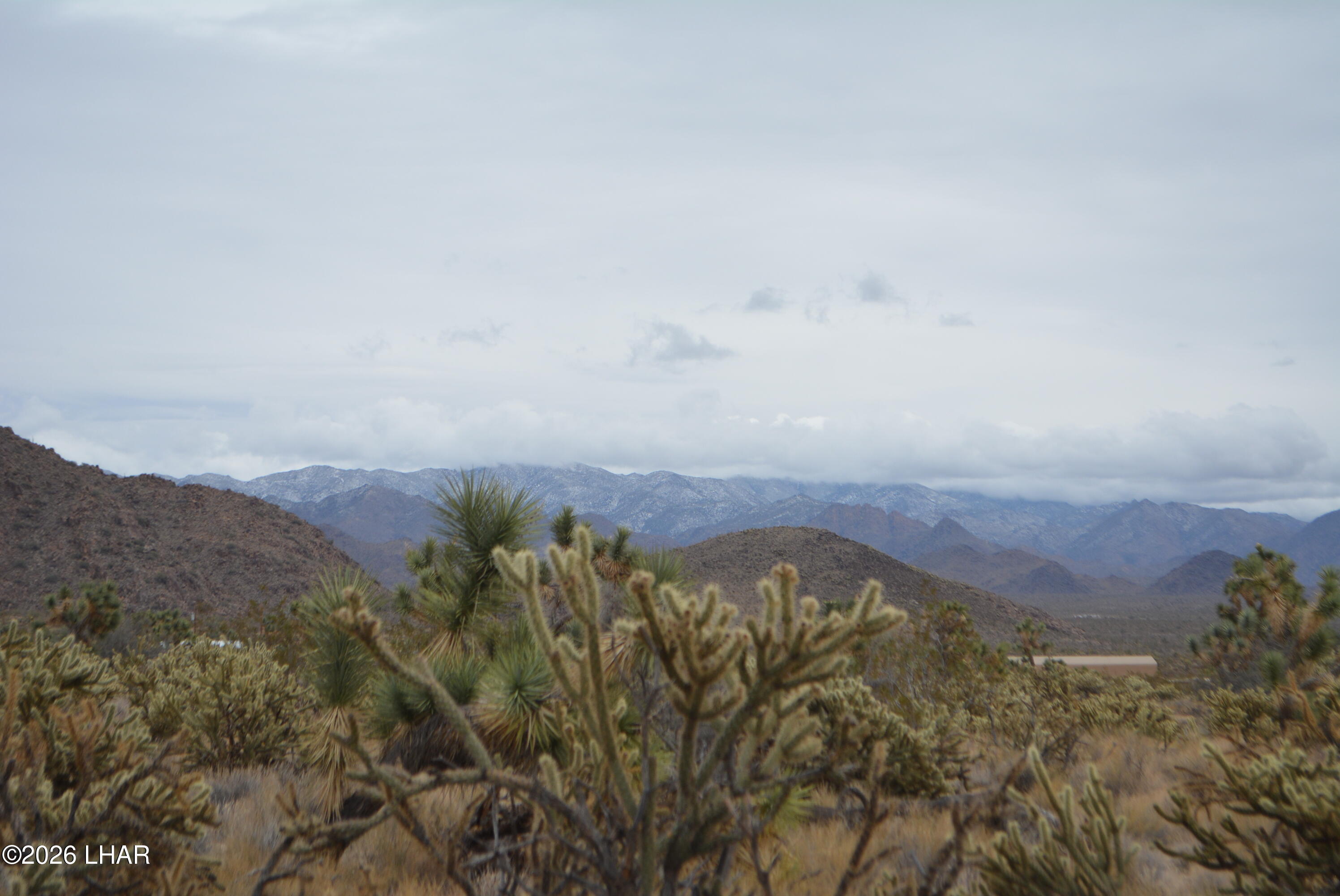 11900 Alan Road Yucca, AZ 86438 - Photo 48 of 93 DSC_0711