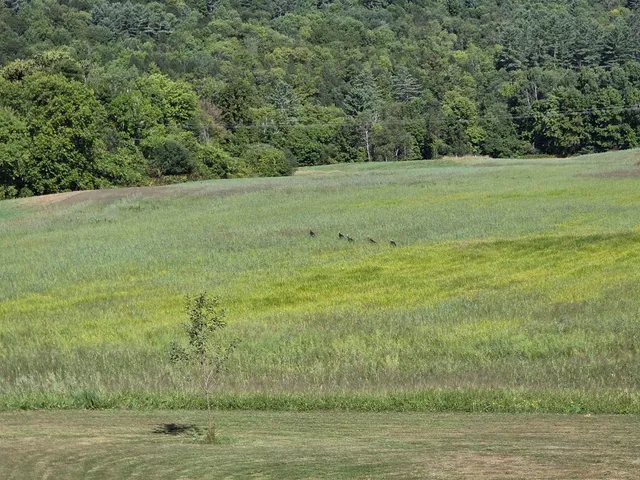 $537,000 | 1065 Higgins Hill Road, St. Johnsbury, VT 05819