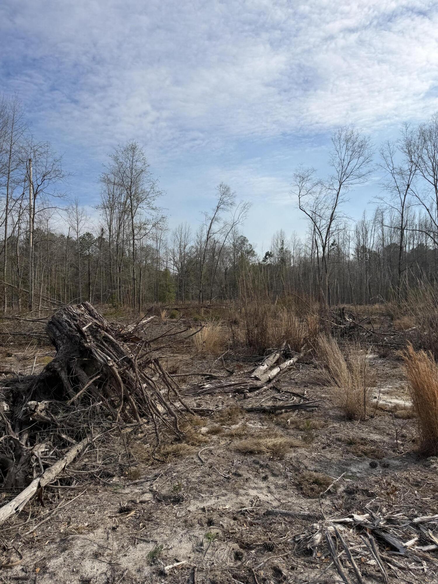 20.33 R And B Road Barnwell, SC 29812 - Photo 7 of 11