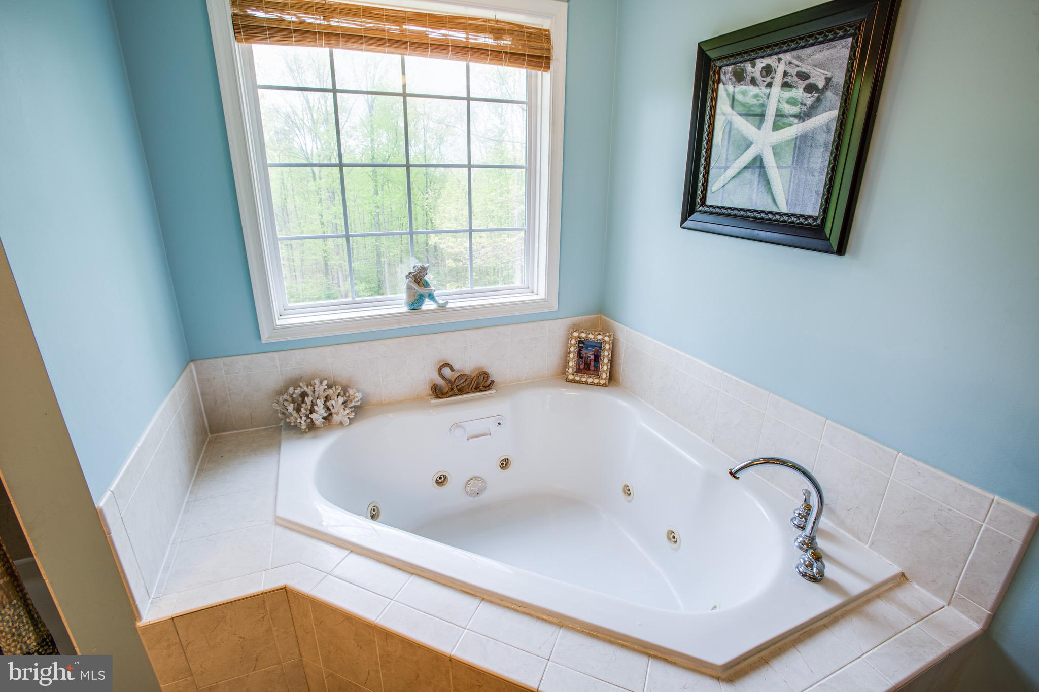 74 Clark Patton Road Fredericksburg, VA 22406 - Photo 32 of 47 Master Soaker Tub