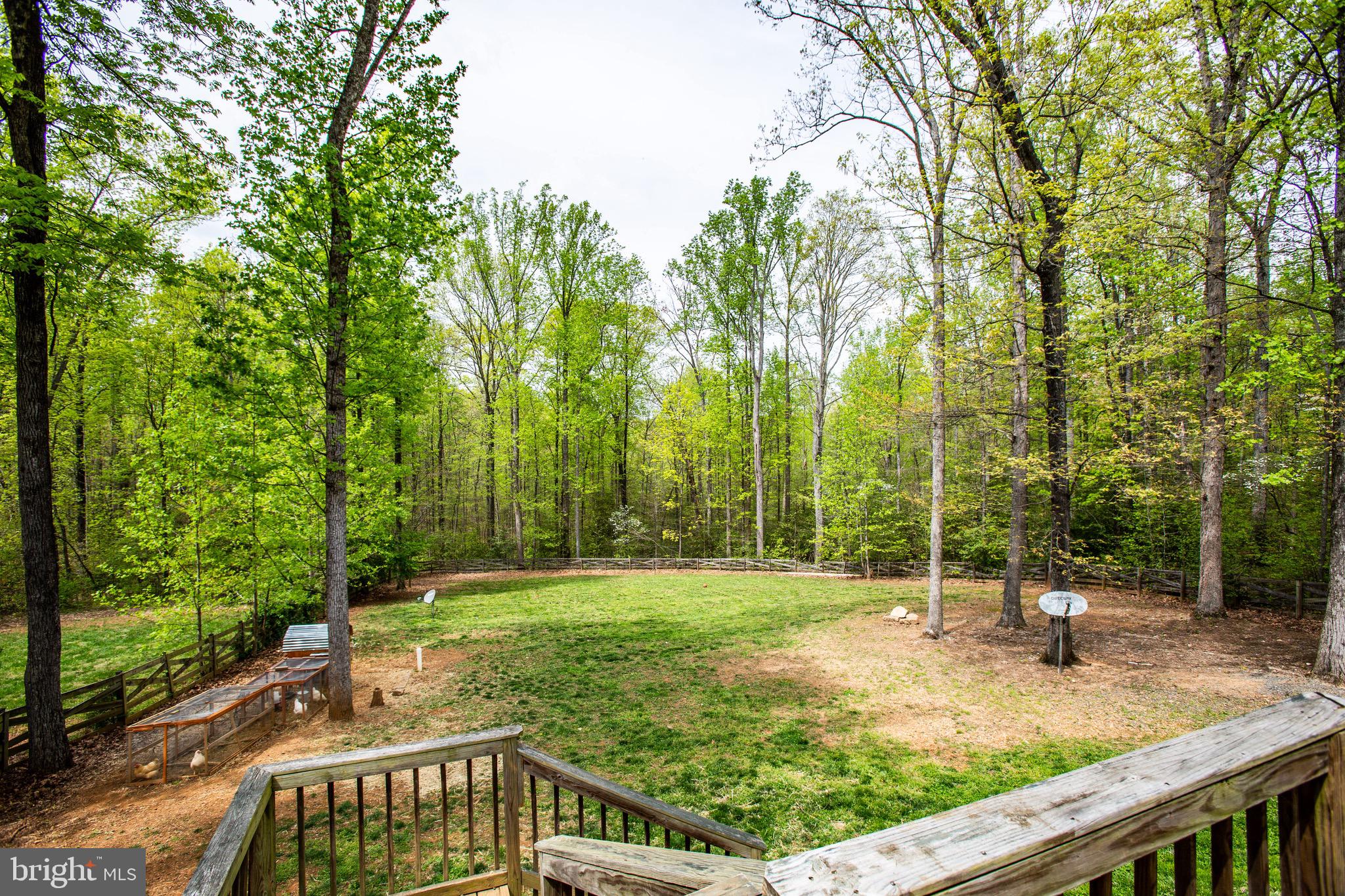 74 Clark Patton Road Fredericksburg, VA 22406 - Photo 43 of 47 Back Yard View