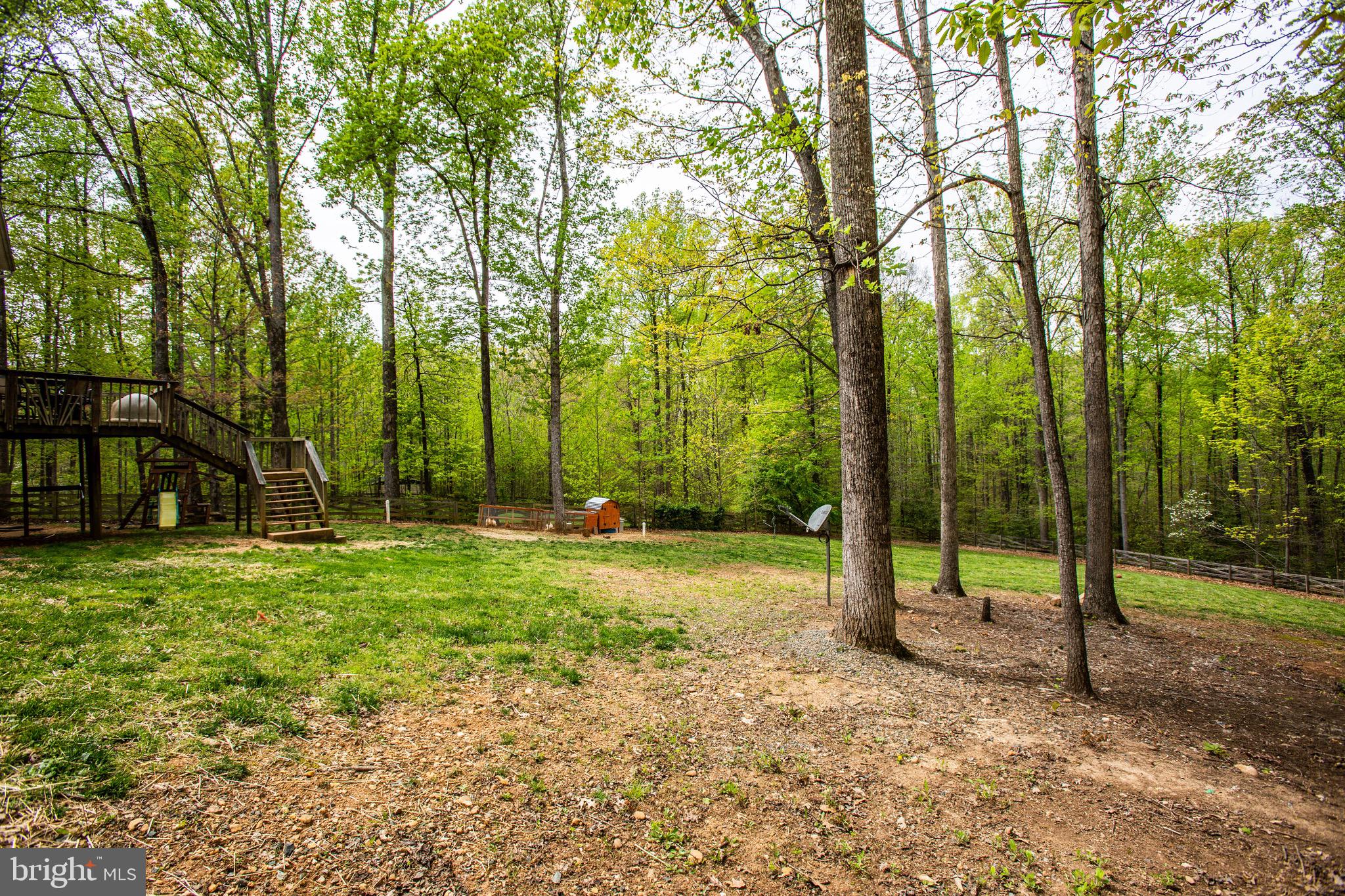 74 Clark Patton Road Fredericksburg, VA 22406 - Photo 47 of 47 Spacious Back Yard