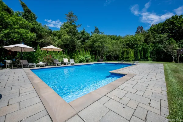 a view of a swimming pool with lounge chair