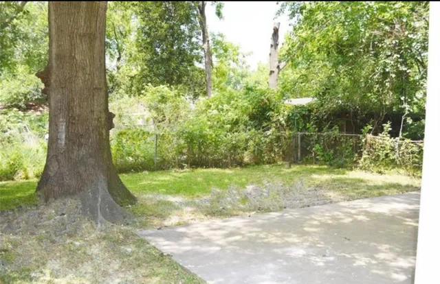 a view of a yard with a tree