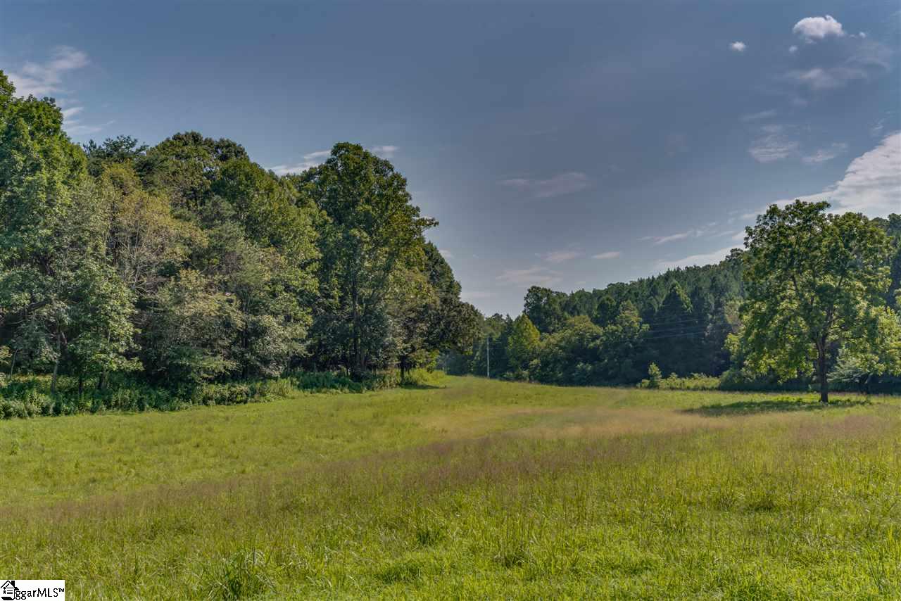 384 Martin Walker Road Mill Spring, NC 28756 - Photo 19 of 36