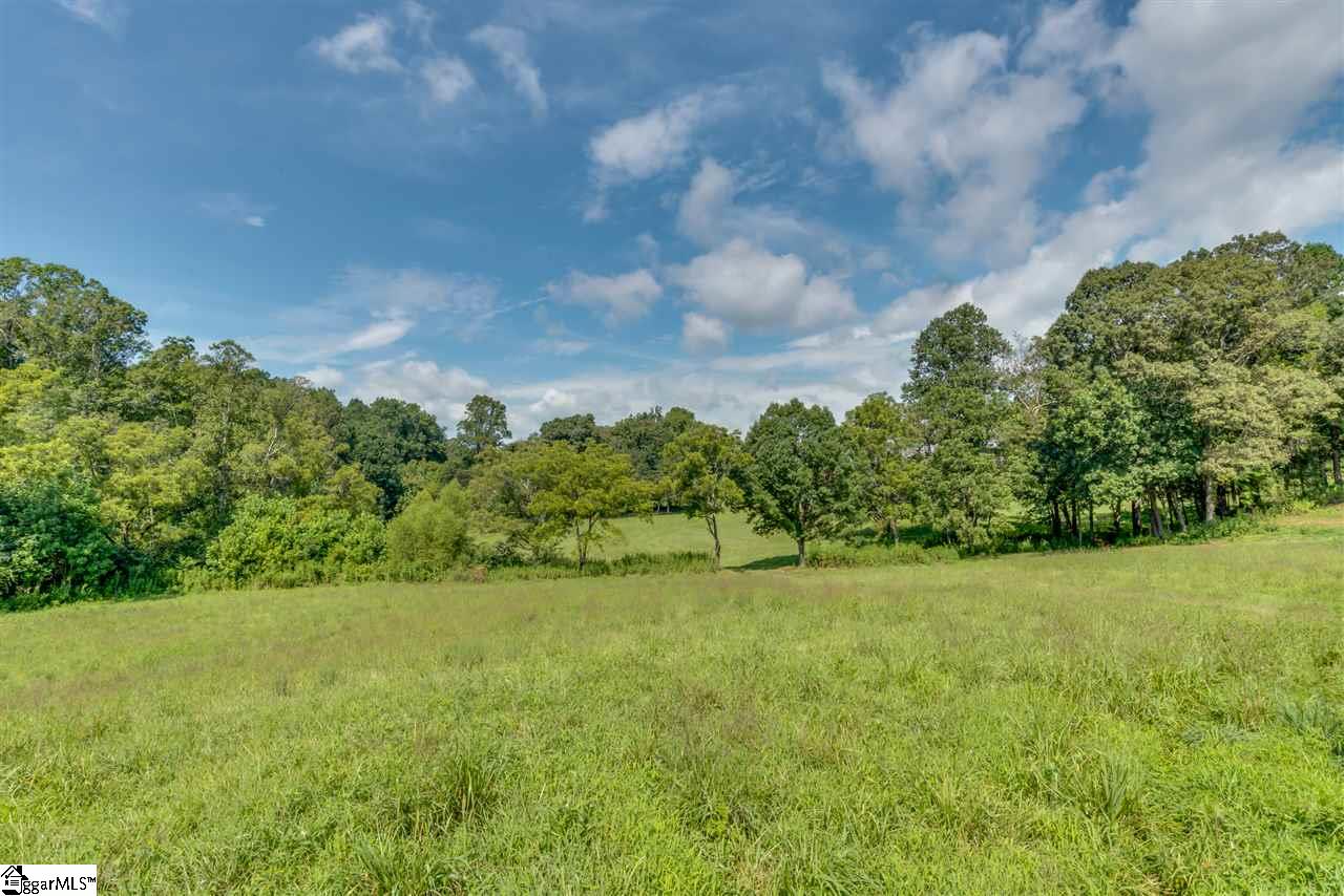 384 Martin Walker Road Mill Spring, NC 28756 - Photo 20 of 36