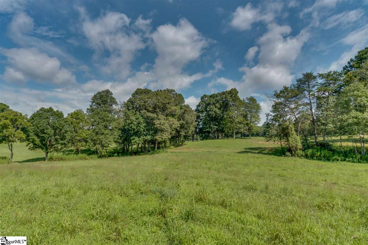 384 Martin Walker Road Mill Spring, NC 28756 - Photo 21 of 36