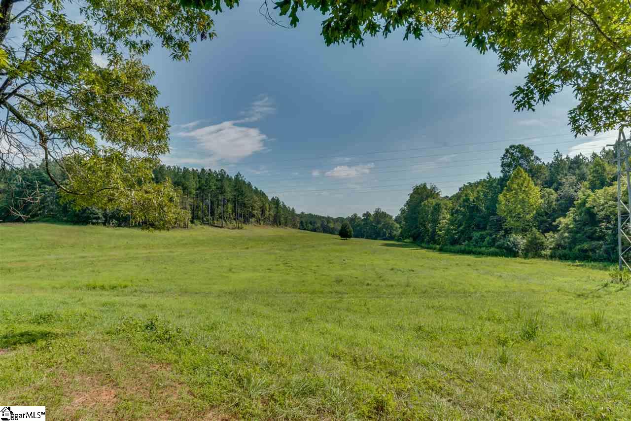 384 Martin Walker Road Mill Spring, NC 28756 - Photo 22 of 36