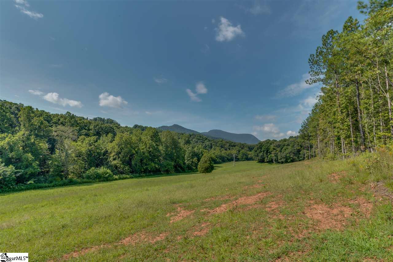 384 Martin Walker Road Mill Spring, NC 28756 - Photo 23 of 36