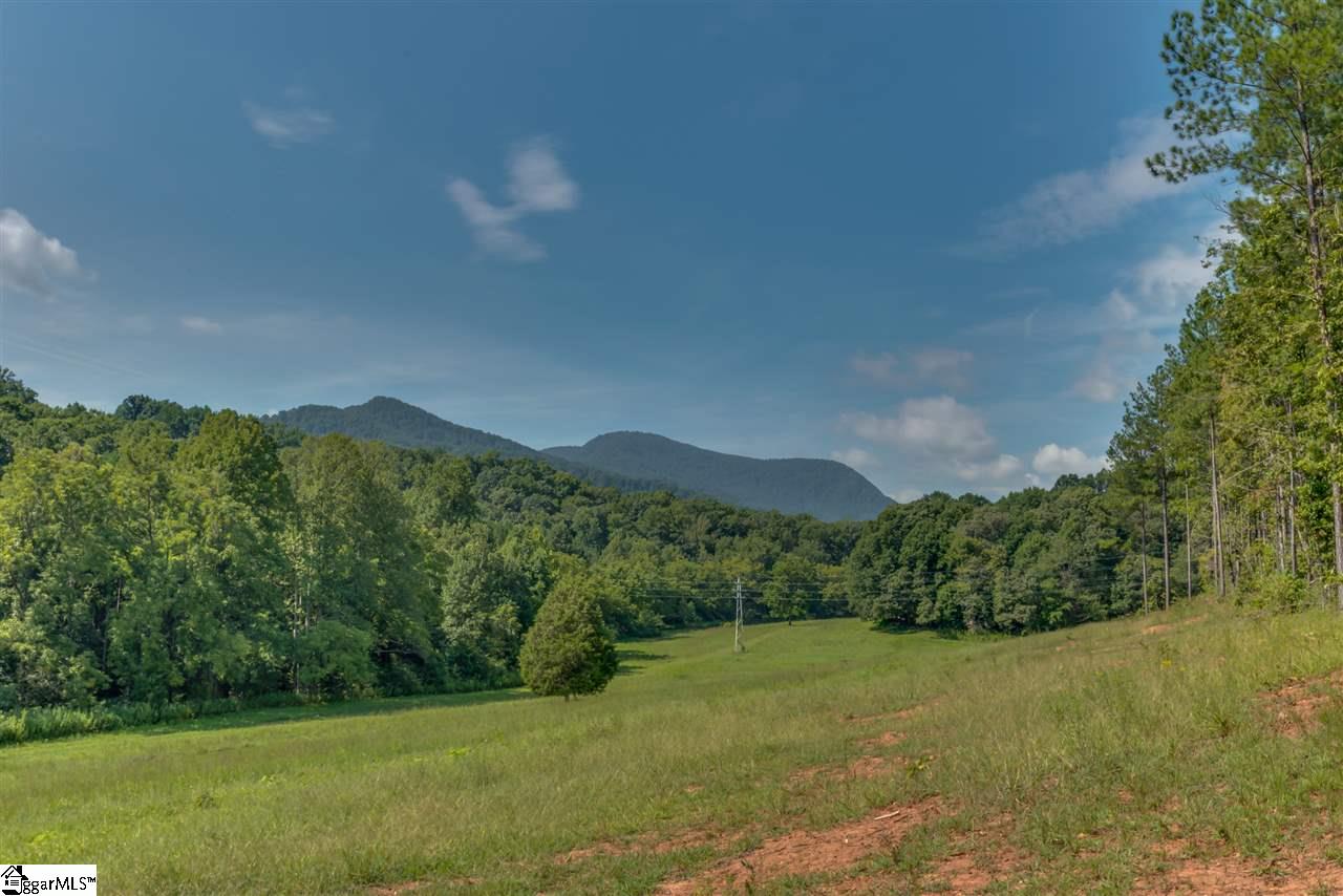 384 Martin Walker Road Mill Spring, NC 28756 - Photo 24 of 36