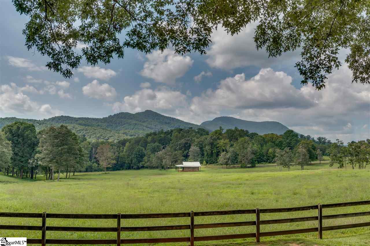 384 Martin Walker Road Mill Spring, NC 28756 - Photo 29 of 36