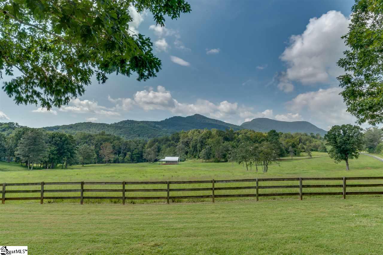 384 Martin Walker Road Mill Spring, NC 28756 - Photo 31 of 36