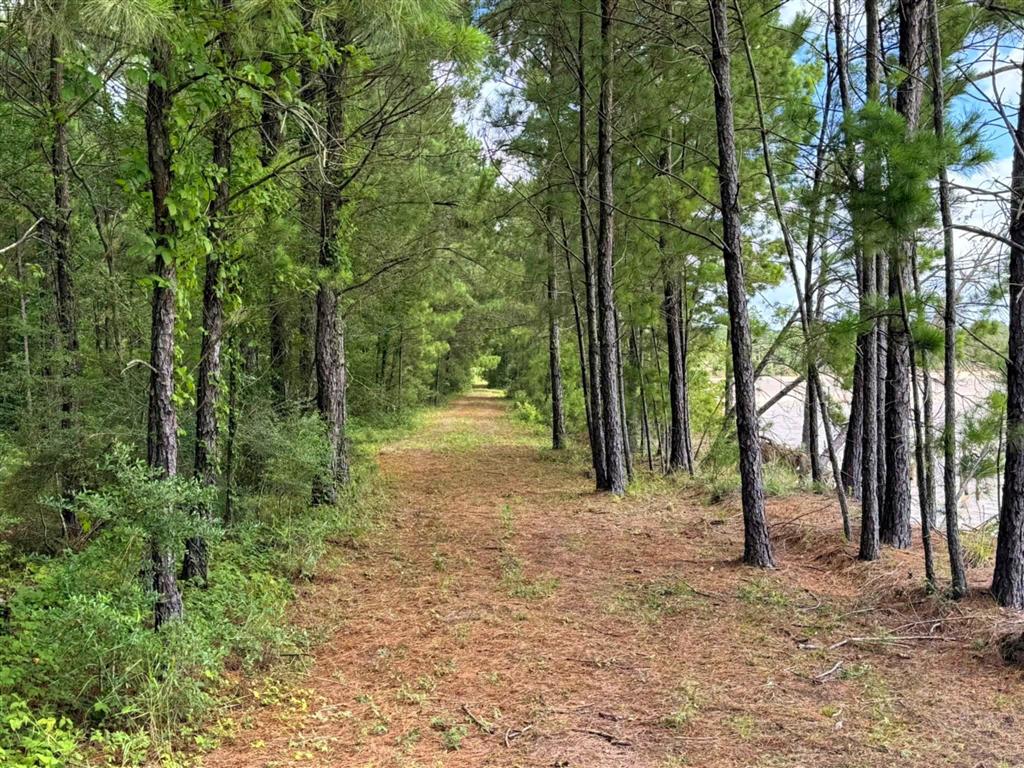 Tbd Parish Line Road Kinder, LA 70648 - Photo 3 of 10