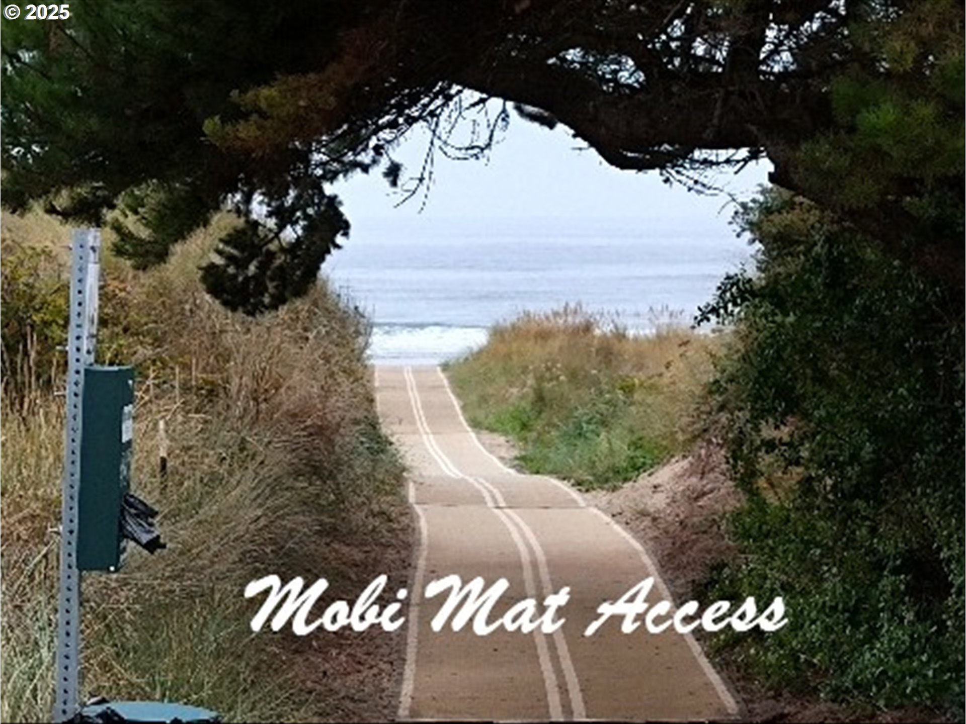 1822 Northwest View Ridge Drive Waldport, OR 97394 - Photo 15 of 17 a view of a tree in front of a yard