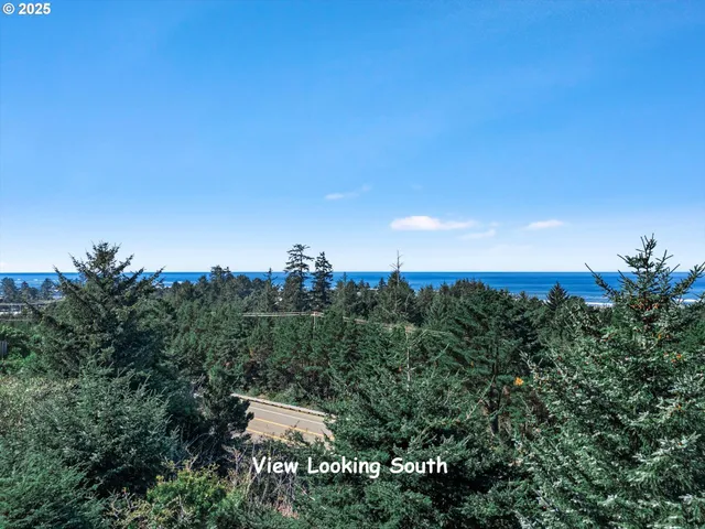 a view of a city with lush green forest