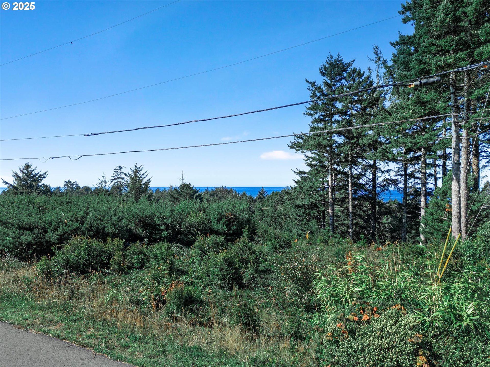 1822 Northwest View Ridge Drive Waldport, OR 97394 - Photo 9 of 17 a view of a garden