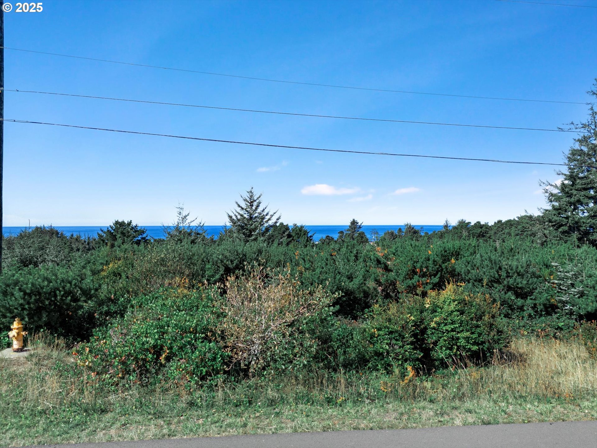 1822 Northwest View Ridge Drive Waldport, OR 97394 - Photo 10 of 17 a view of a field of grass and trees