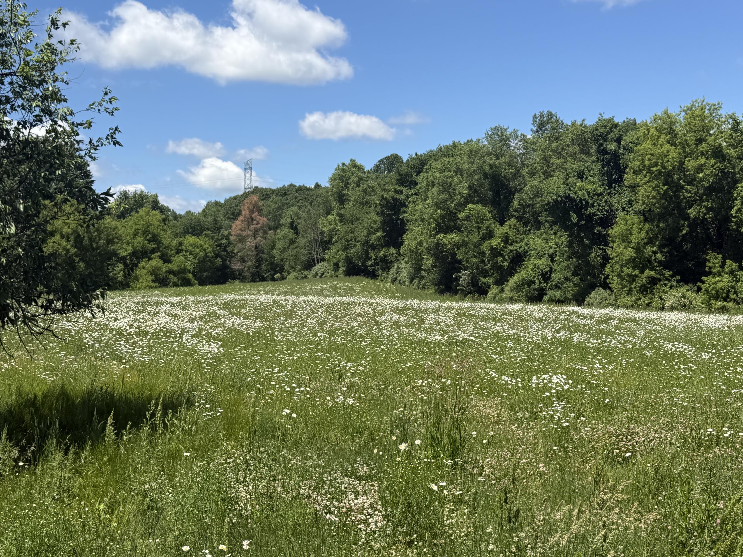 Hagerman Road Leonard, MI 48367 - Photo 16 of 51 3d