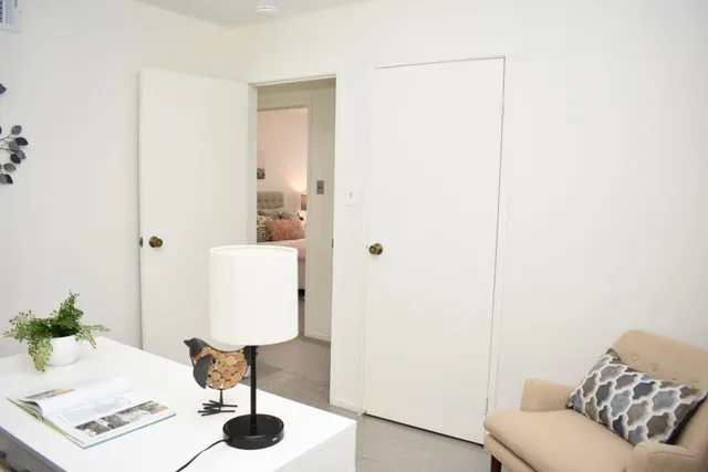 a living room with furniture and a potted plant