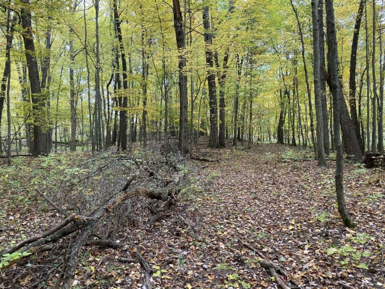 6 6 Mile Road Union City, MI 49094 - Photo 2 of 5