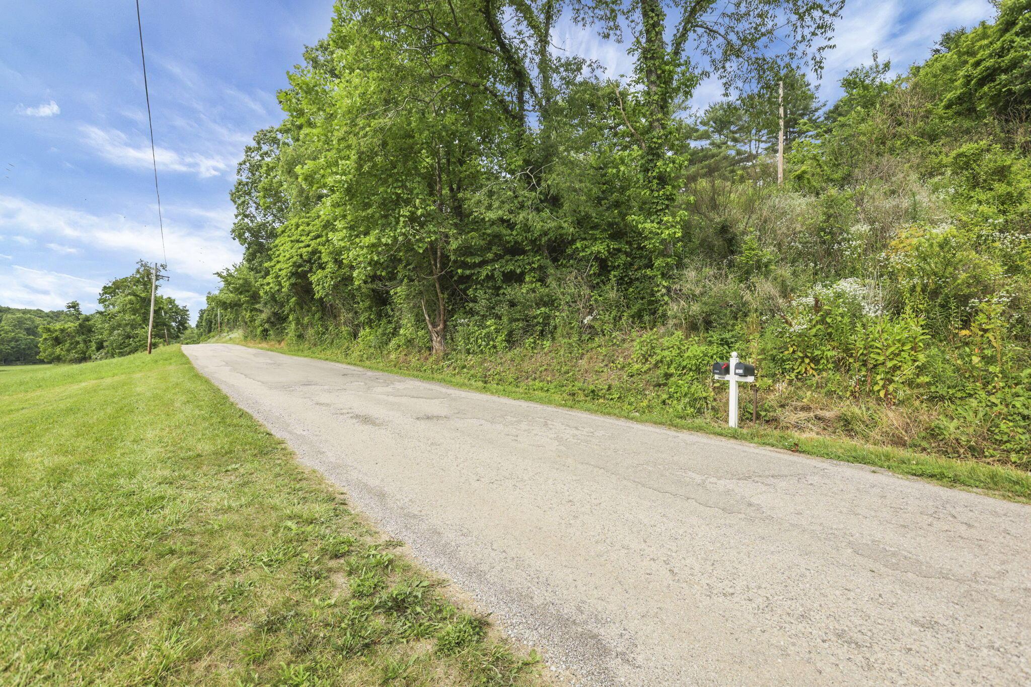 7455 Old Grade Road Chesterhill, OH 43728 - Photo 60 of 78 49-web-or-mls-LO5A5549