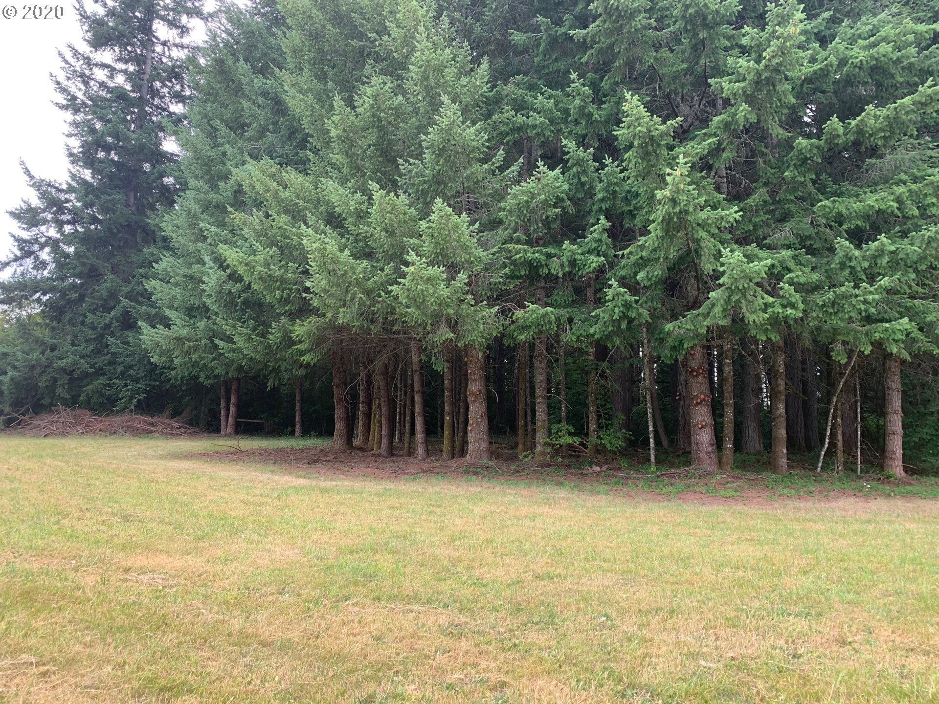 21353 South Upper Highland Road Beavercreek, OR 97004 - Photo 14 of 23 Gallery Image 14