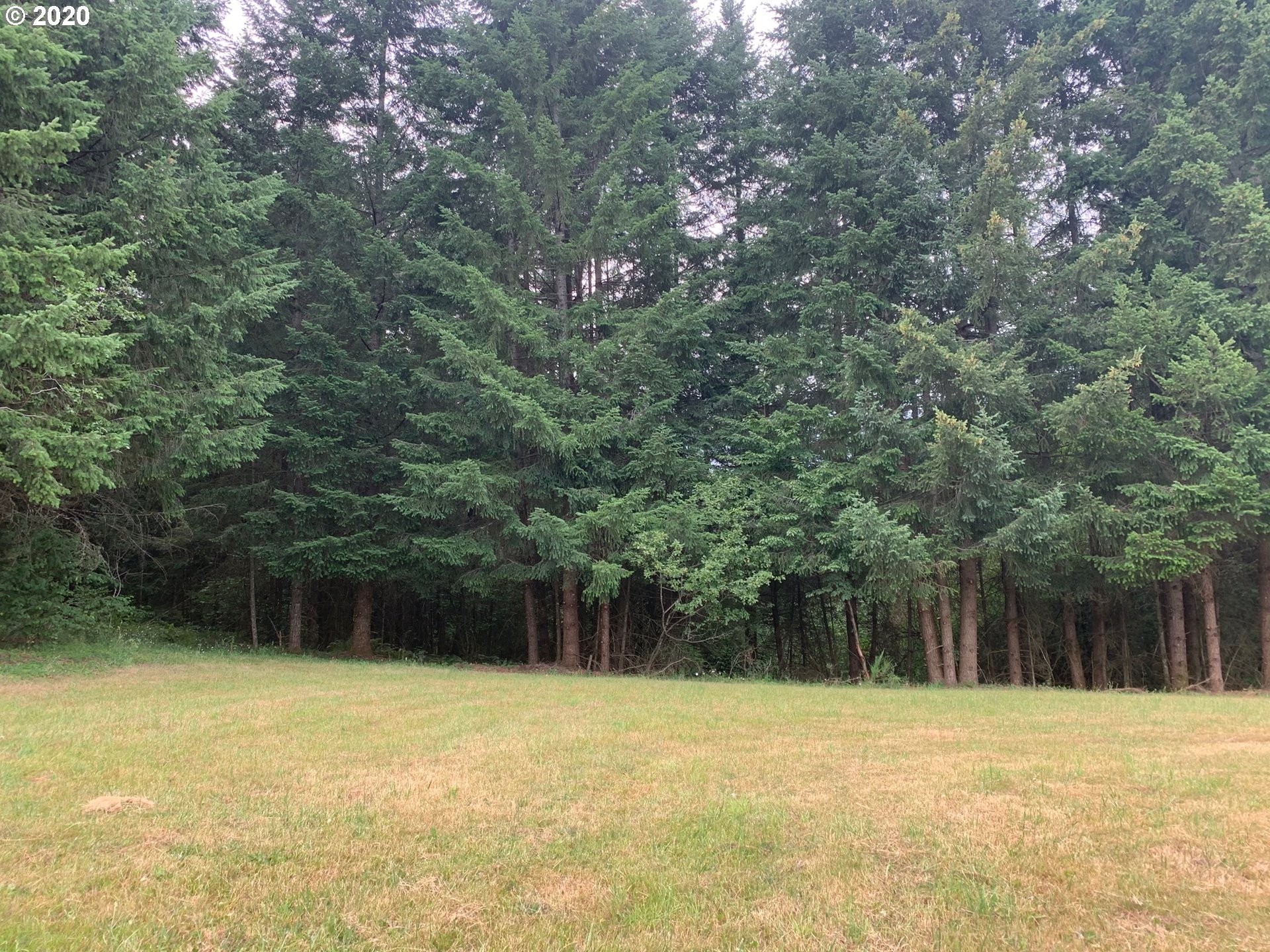 21353 South Upper Highland Road Beavercreek, OR 97004 - Photo 15 of 23 Gallery Image 15