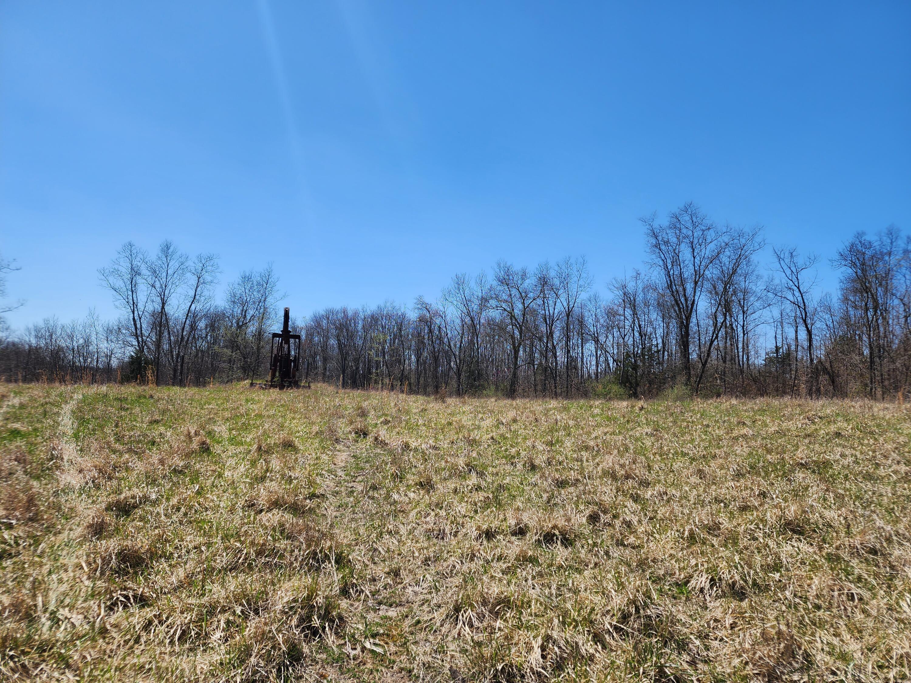 0 Halleys Ridge Road Caldwell, OH 43724 - Photo 13 of 69 20230411_131806